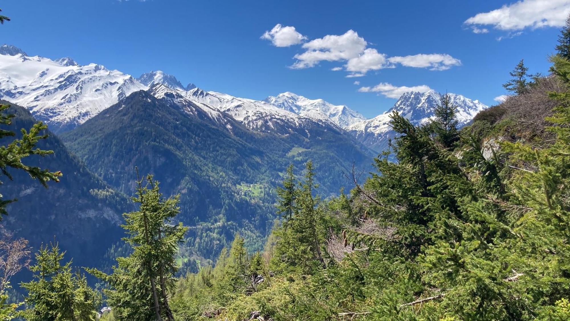Bel appartement 2.5 pièces avec balcon, magnifique vue sur le glacier des Grands Finhaut Esterno foto
